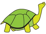ill-schildpad